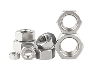 Stainless Steel Hexagonal Nut