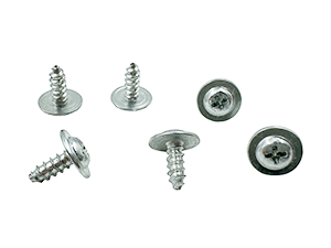 Phillips Modified Truss Self Tapping Screw