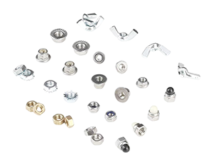 Stainless Steel Nuts